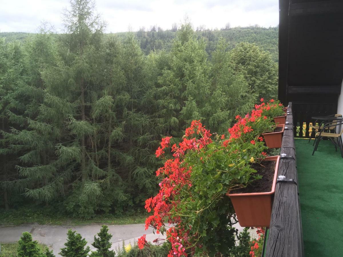 Willa Na Wzgorzu Brenna Exteriör bild